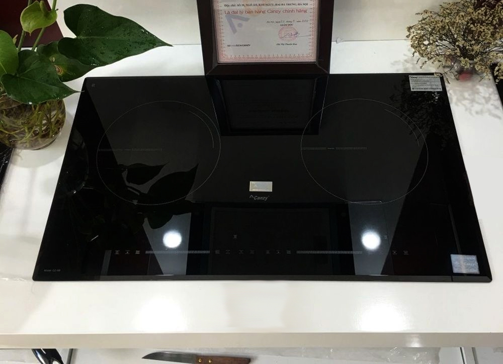 Hình ảnh Bếp từ Canzy CZ 08I