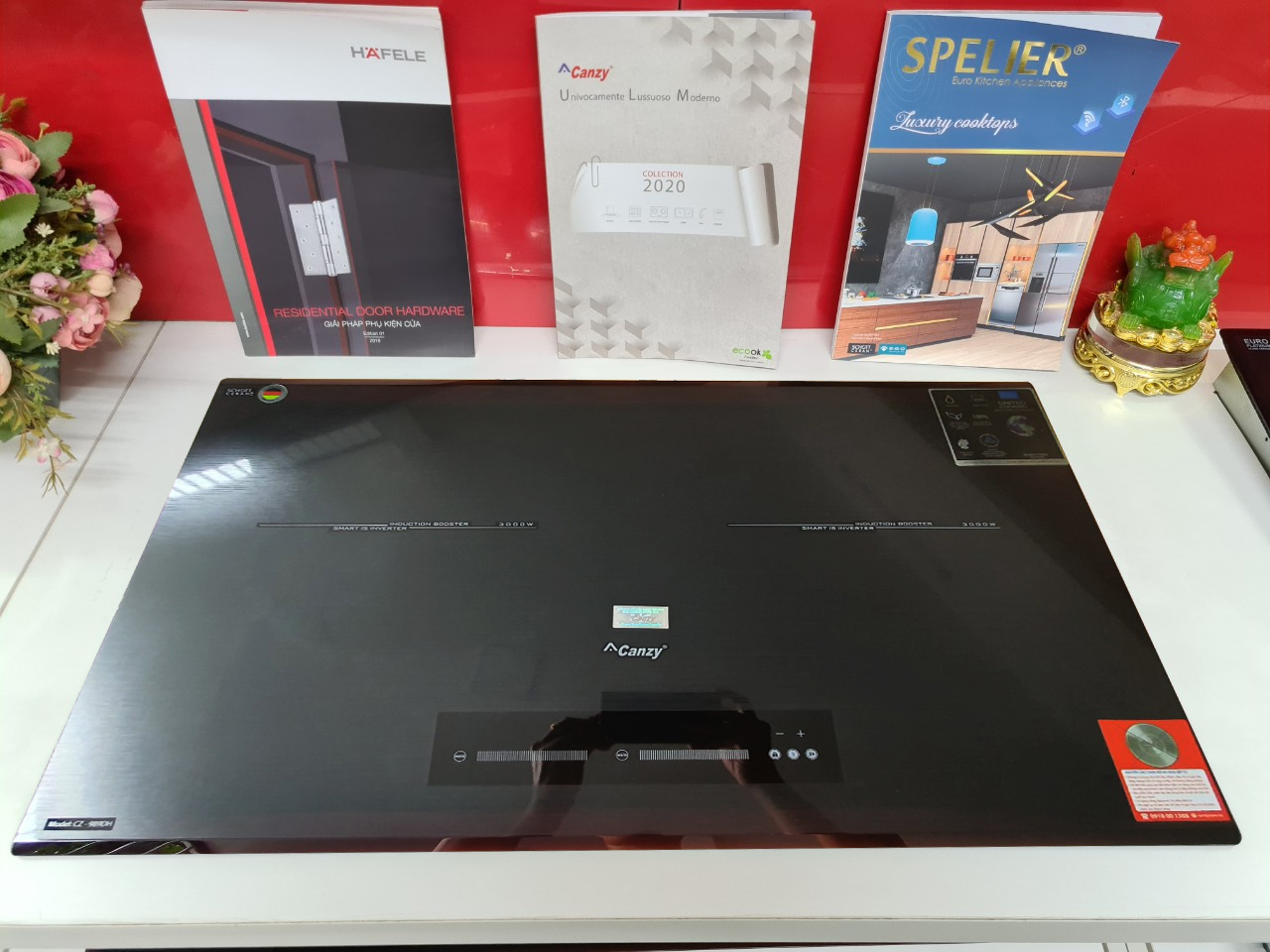 Hình ảnh Bếp từ Canzy CZ-989DH
