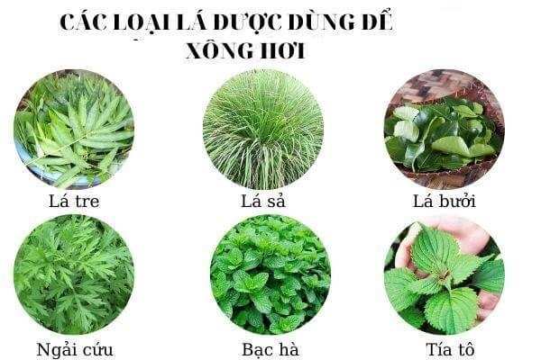 xong-hoi-tang-cuong-suc-de-khang-bao-ve-suc-khoe