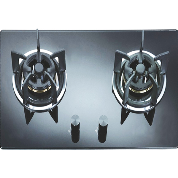 Bếp gas Faster FS-201S