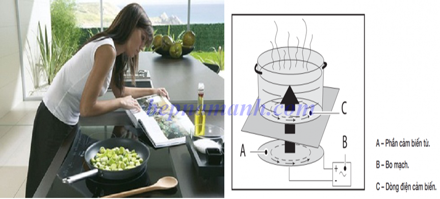 Bếp từ Taka I-02C2 có tốt không