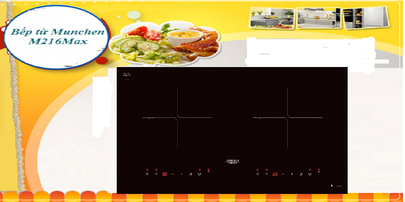 Bếp từ Munchen M216 max