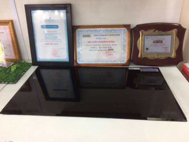 bếp từ giovani